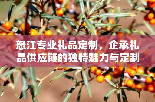 怒江专业礼品定制，企承礼品供应链的独特魅力与定制之旅