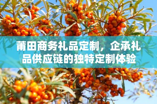 莆田商务礼品定制，企承礼品供应链的独特定制体验
