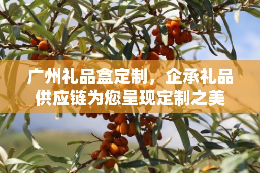 广州礼品盒定制，企承礼品供应链为您呈现定制之美