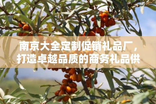 南京大全定制促销礼品厂，打造卓越品质的商务礼品供应链
