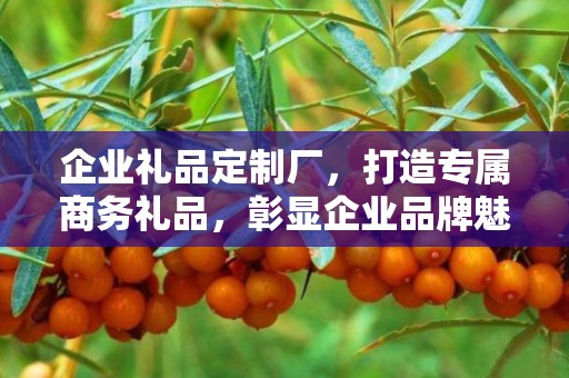 企业礼品定制厂，打造专属商务礼品，彰显企业品牌魅力